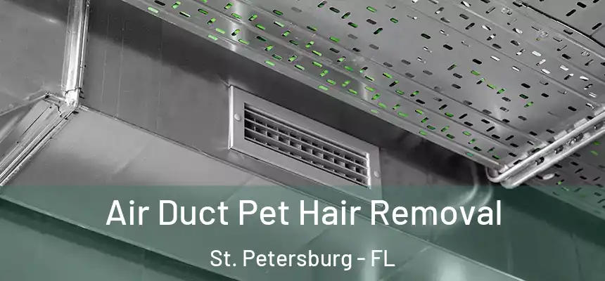 Air Duct Pet Hair Removal St. Petersburg - FL