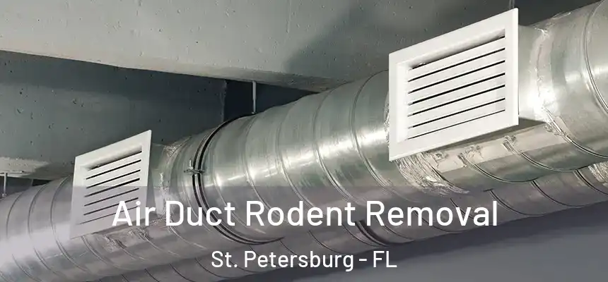 Air Duct Rodent Removal St. Petersburg - FL