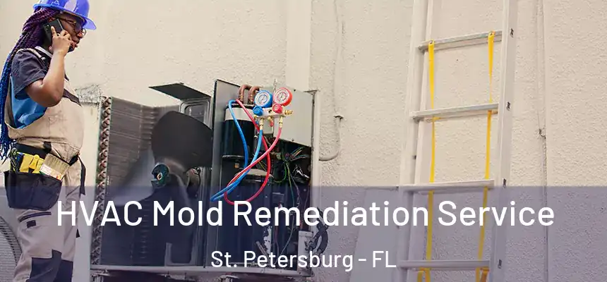  HVAC Mold Remediation Service St. Petersburg - FL