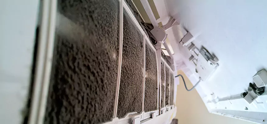 Preventive Air Duct Bacteria Removal in St. Petersburg