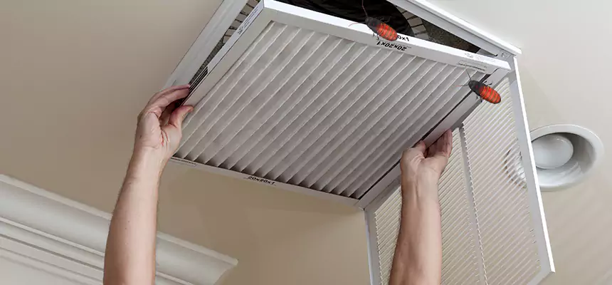 Preventive Cockroach-Proofing for Ducts in St. Petersburg