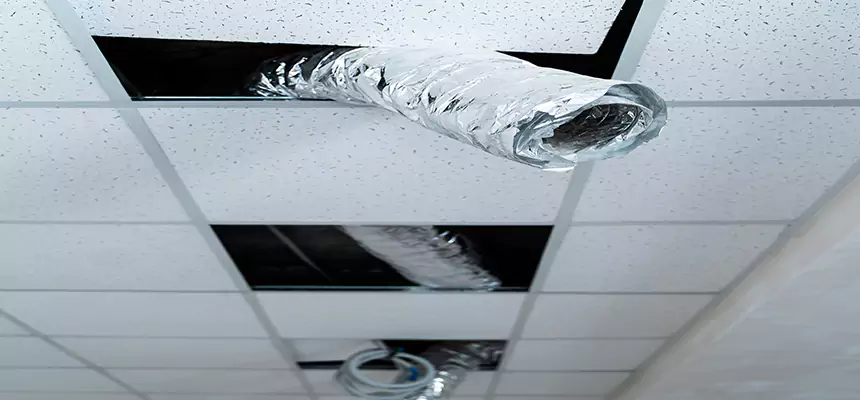 Affordable HVAC Sanitizing After Pest Removal in St. Petersburg