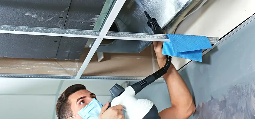 Our Air Duct Rodent Removal Services in St. Petersburg, FL