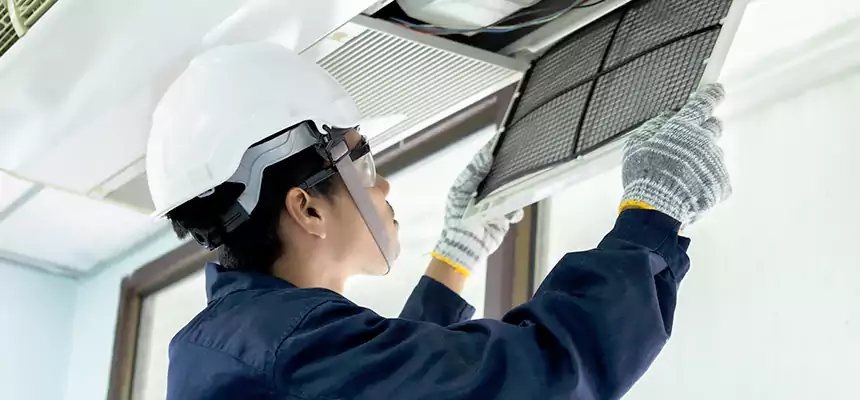 Our Mold & Mildew Removal from Air Ducts Services in St. Petersburg, FL