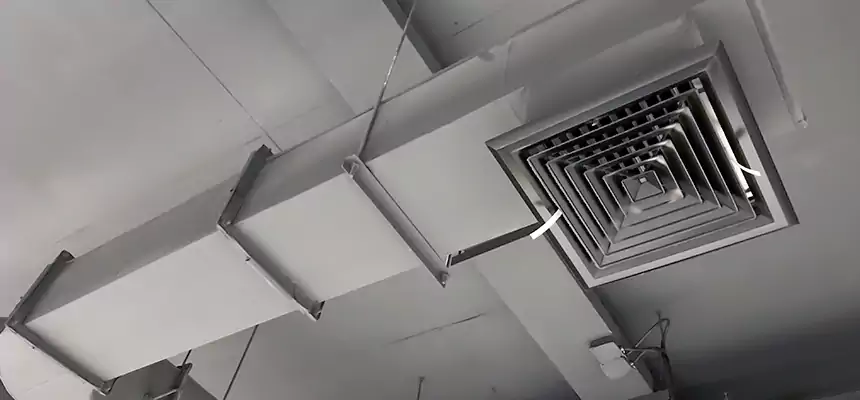 Our Pest Removal From Ducts Services in St. Petersburg, FL