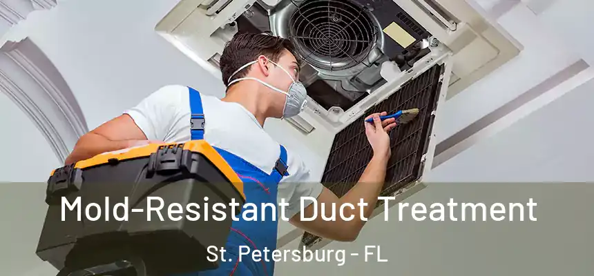 Mold-Resistant Duct Treatment St. Petersburg - FL