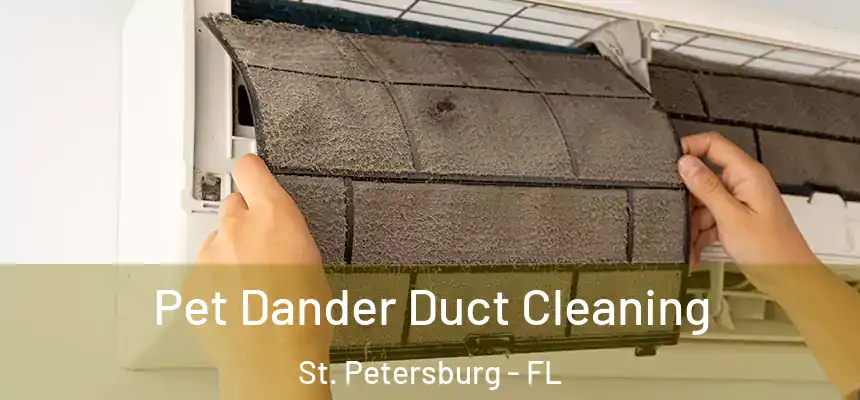 Pet Dander Duct Cleaning St. Petersburg - FL