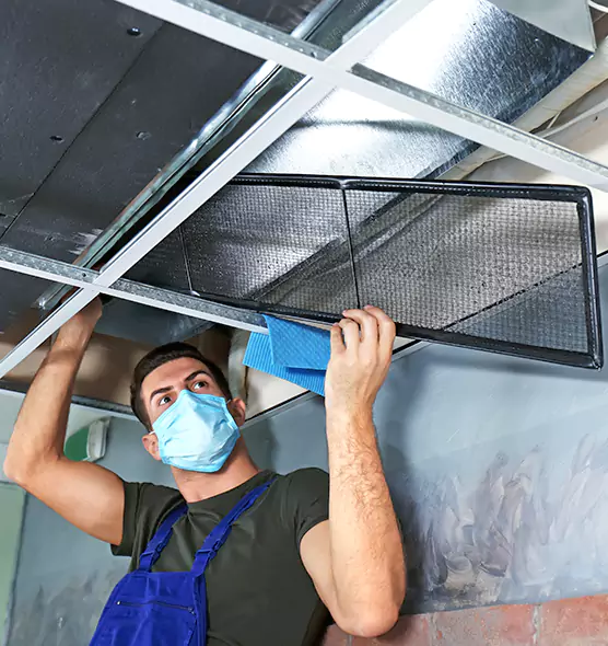 About Air Duct Bacteria Removal in St. Petersburg