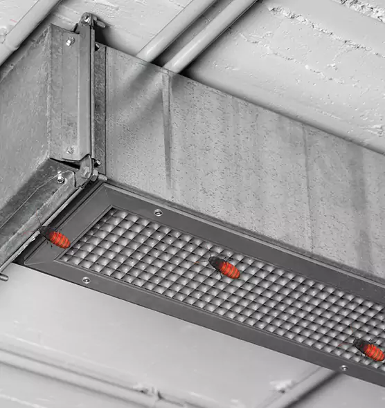About Air Duct Cockroach Removal in St. Petersburg, FL