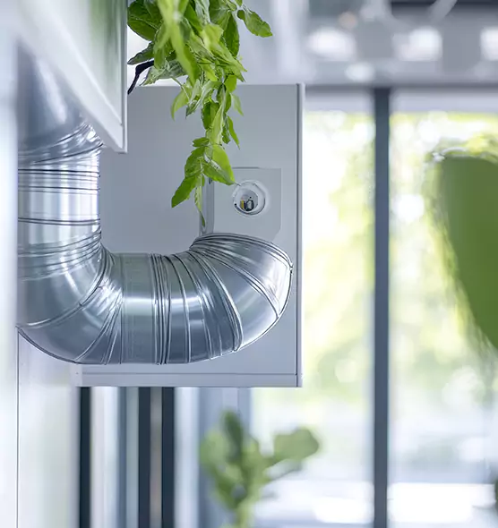 Professional Eco-Safe Dryer Vent Cleaning in St. Petersburg, FL