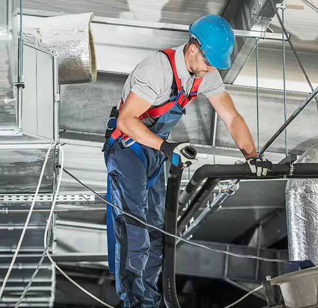 Why Homeowners & Businesses Trust Us in St. Petersburg, FL?