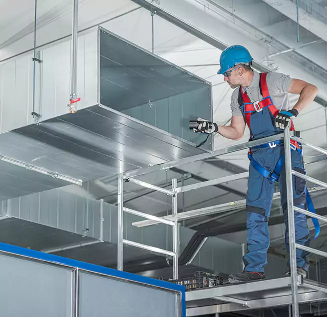 Why Homeowners & Businesses Trust Us in St. Petersburg, FL?