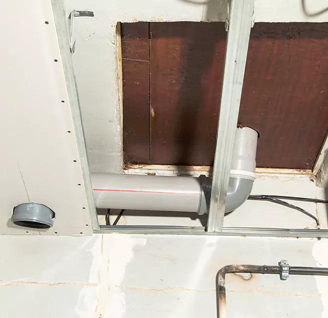 Why Homeowners & Businesses Trust Us in St. Petersburg, FL?