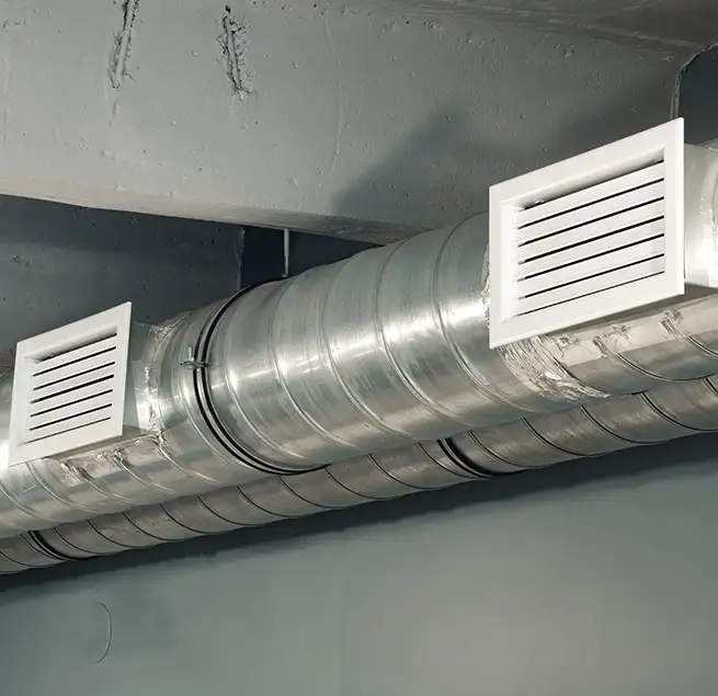 Why Homeowners Businesses Trust Us in St. Petersburg, FL