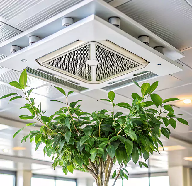 Why Homeowners & Businesses Trust Us in St. Petersburg, FL