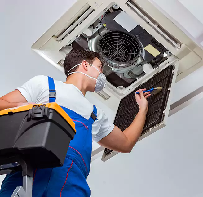 Why Homeowners & Businesses Trust Us in St. Petersburg, FL?