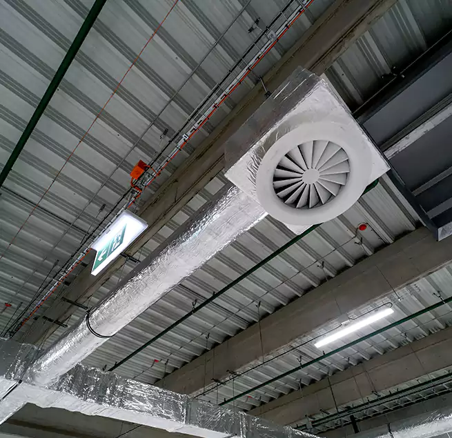 Why Homeowners & Businesses Trust Us in St. Petersburg, FL