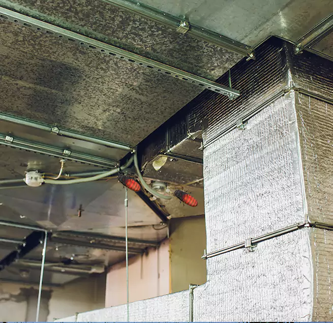 Why Homeowners & Businesses Trust Us St. Petersburg, FL?