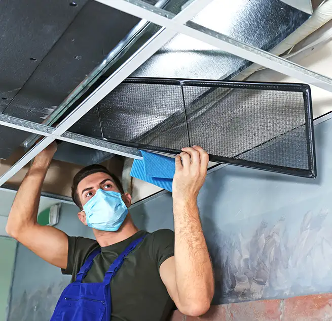 Why Homeowners & Businesses Trust Us in St. Petersburg, FL?