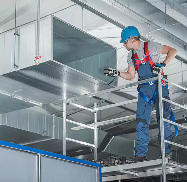 Why Homeowners & Businesses Trust Us in St. Petersburg, FL?