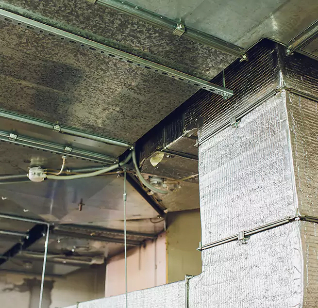 Why Homeowners & Businesses Trust Us in St. Petersburg, FL?