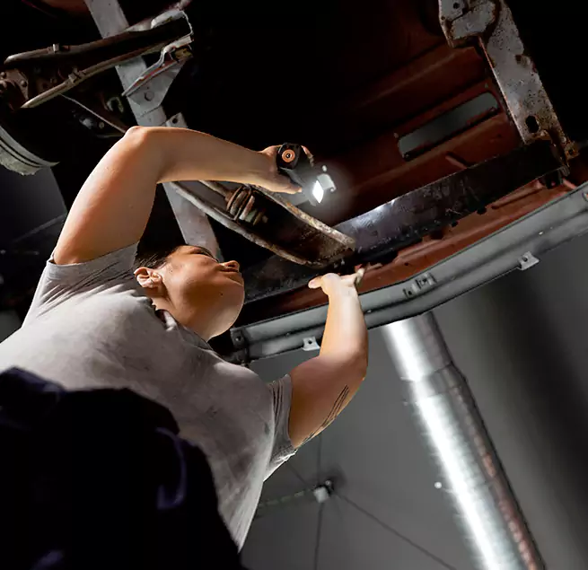 Why Homeowners & Businesses Trust Us St. Petersburg, FL