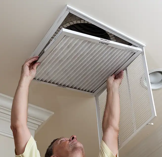 Why Homeowners & Businesses Trust Us in St. Petersburg, FL?