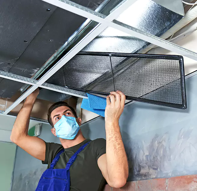 Why Homeowners & Businesses Trust Us in St. Petersburg, FL?